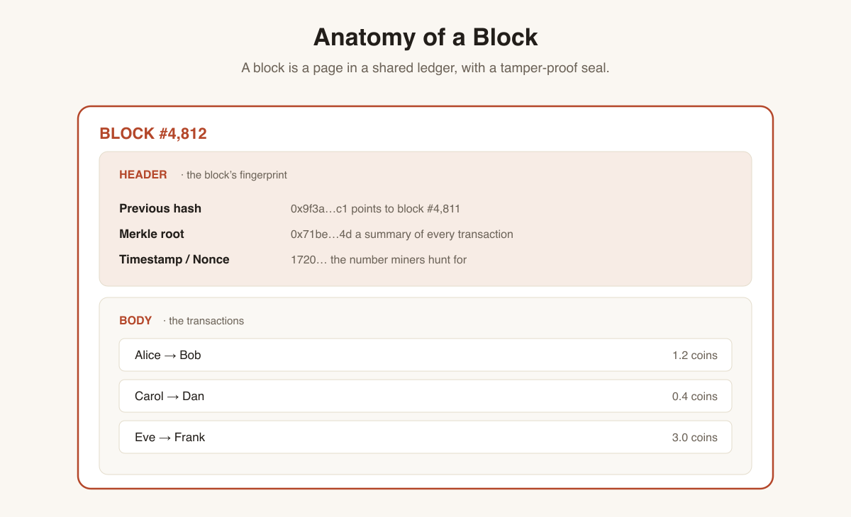 Anatomy of a block: a header holding the previous hash, Merkle root, timestamp and nonce, sitting above a body of transactions.
